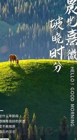 91麻豆精品国产一级-探究91麻豆精品国产一级的迷思与价值