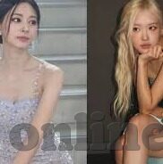 91麻豆视频免费观看-探索网络视频新视角，91麻豆视频的多元视野