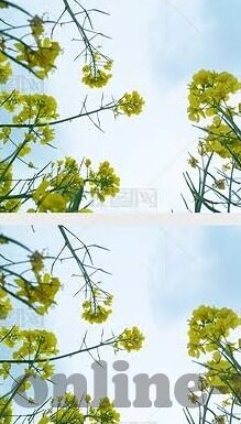 麻豆成人av-