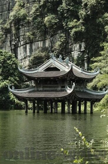 麻豆经济app-麻豆经济，解锁移动时代的创意消费新潮流
