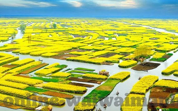 日韩精品一区二区葵司-探索日韩影视文化的独特魅力，一区二区的艺术视角与葵司的演绎