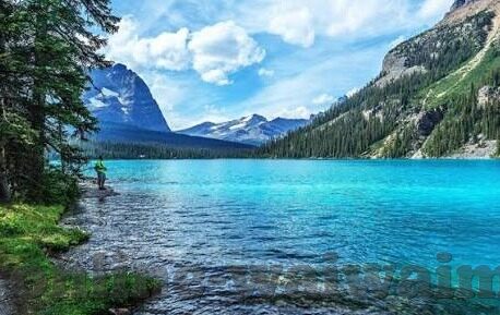 糖心vlog最新版入口-他自己默默记录，糖心Vlog最新版的探索之旅